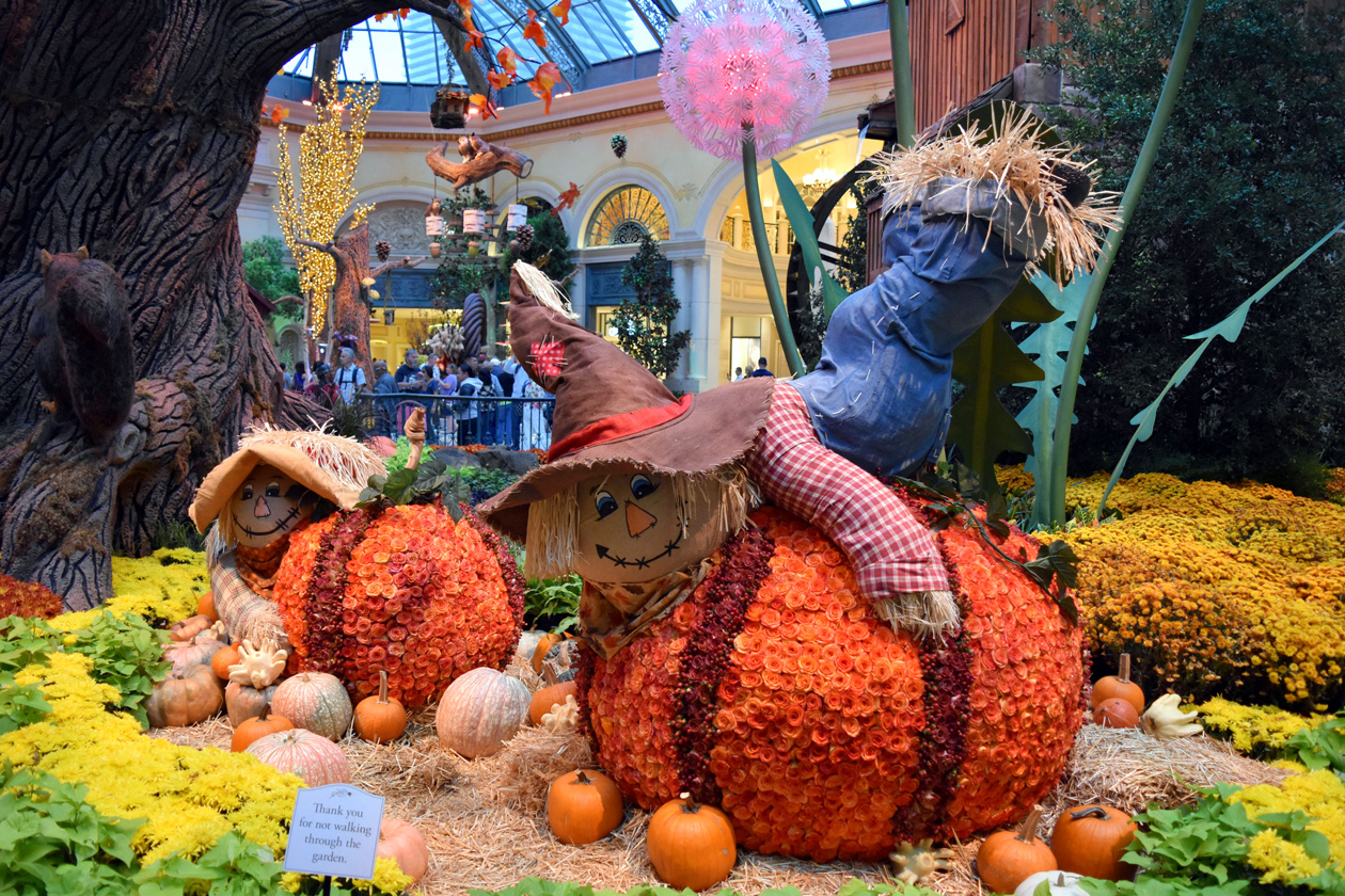 Bellagio-Conservatory-and-Botanical-Gardens