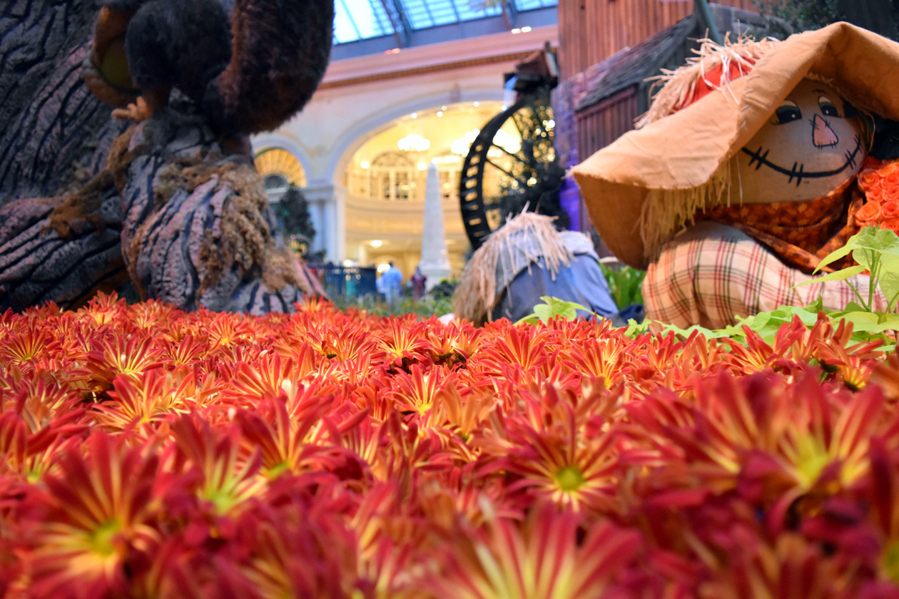 Bellagio-Las-Vegas-Fall-Gardens